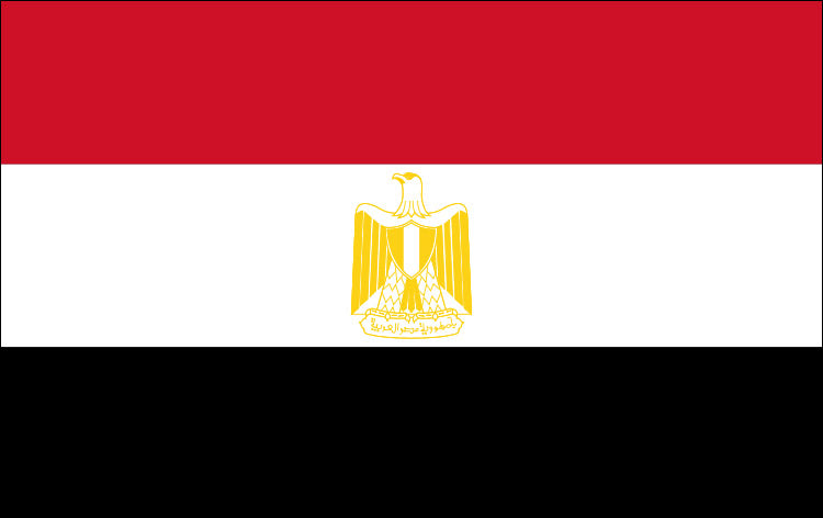 Egypt_National_flag_dysplay_FLAGOUTLET