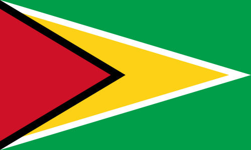 Guyana_National_flag_dysplay_FLAGOUTLET