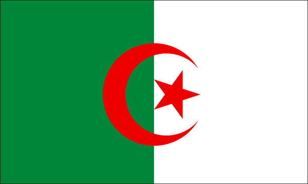 Algeria Flag from Flag Outlet