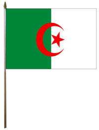 Algeria flag detail view