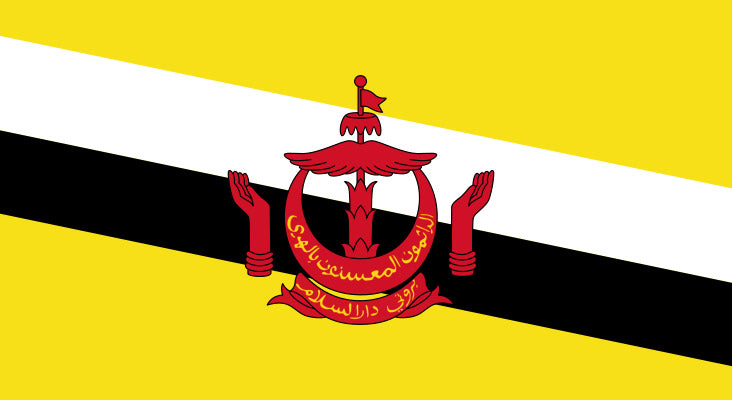 Brunei Flag
