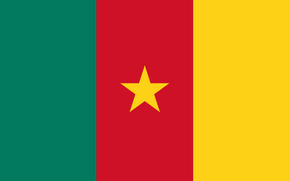 Cameroon Flag