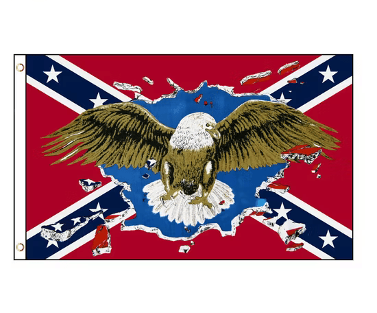 Confederate Eagle Sky