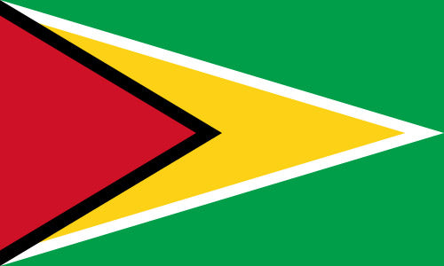 Guyana Flag