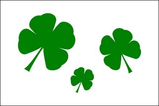 Happy St Patty's Day Flag