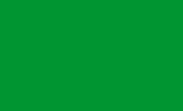 Libya (Green) Flag