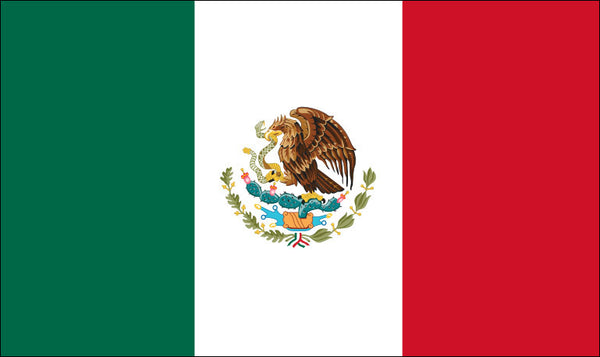 Mexico State Flag