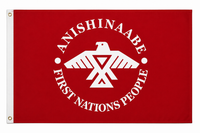 Antishinaabe Flag