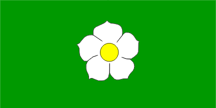 Dogwood Flag - detail view