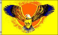 Flying Eagle Flag