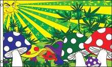 Marijuana, Mushrooms Flag