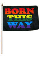 Pride, Rainbow Born This Way Pride Flag