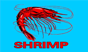 Shrimp Blue Flag
