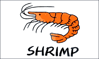Shrimp White Flag