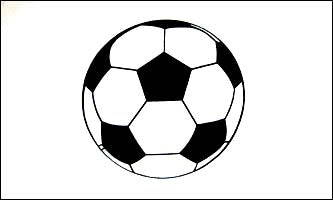 Soccer Ball Flag