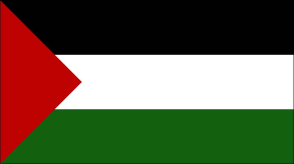 Palestine Flag