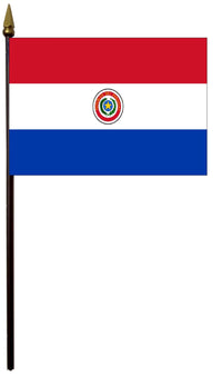 Paraguay Flag - view 4