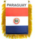 Paraguay Flag - detail view