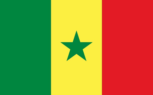 Senegal Flag