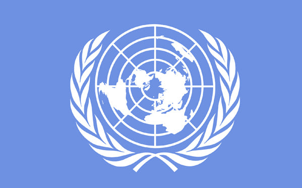 United Nations (UN)