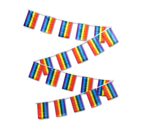 Rainbow 30' Pennant String