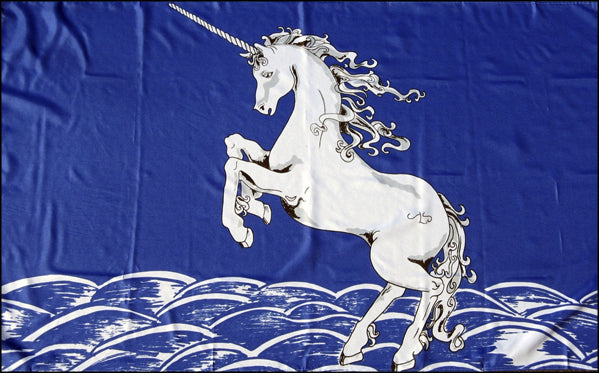 Unicorn Blue 36"x 60"