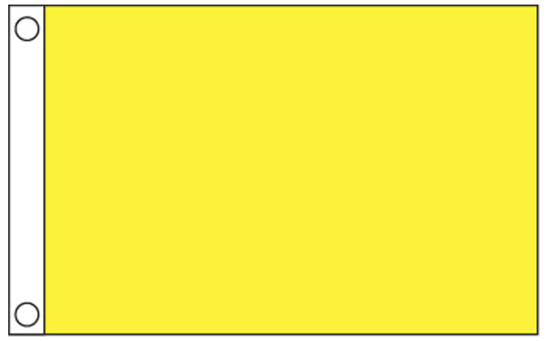 Quarantine 12"x 18" Nautical Flag