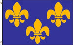 Fleur de Lis in blue 36"x60"