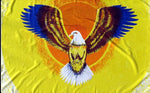 Flying Eagle 36"x 60"