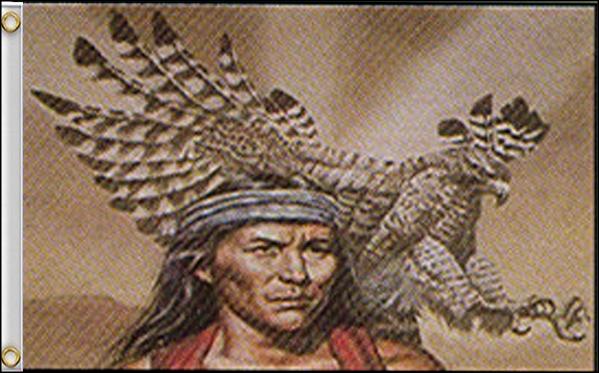 First Nation Chief w/ Hawk 36"x 60"
