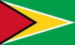 Guyana_National_flag_dysplay_FLAGOUTLET
