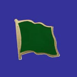 Lapel pin, Libya (old)