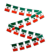 Mexico 30' Pennant String