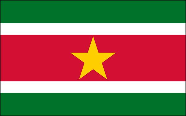 Suriname_National_flag_display_FLAGOUTLET
