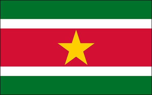 Suriname_National_flag_display_FLAGOUTLET