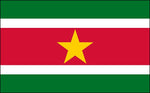 Suriname_National_flag_display_FLAGOUTLET